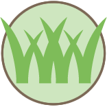 Buzz Yard Care Mowing