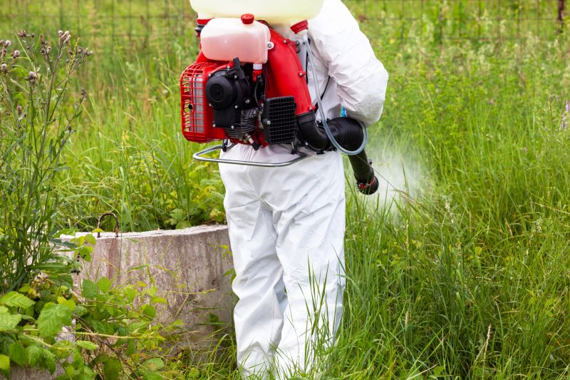 Crabgrass Prevention in Aiken, SC