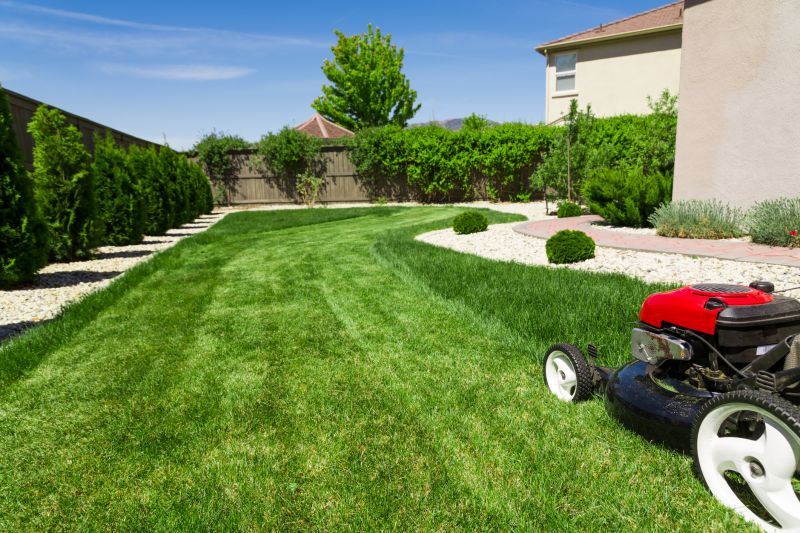 Yard Care Mowing detail