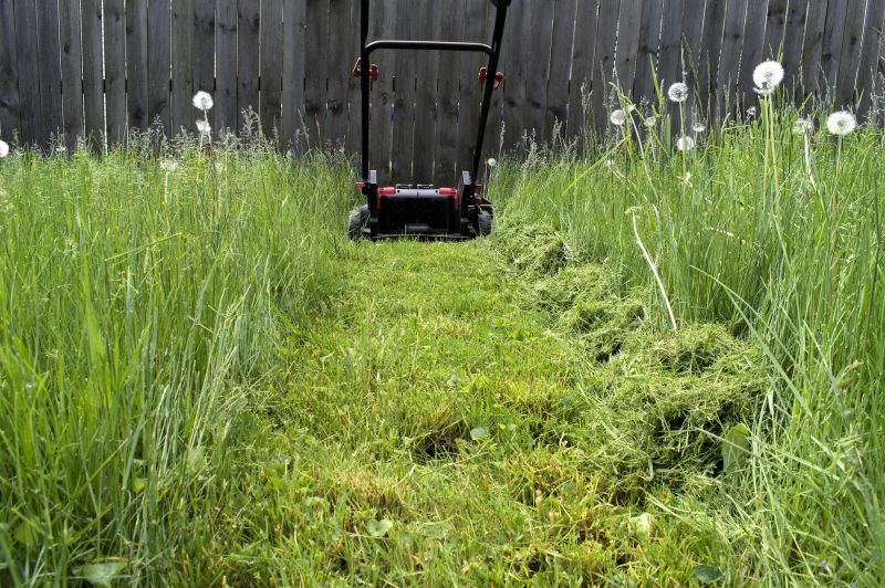 Yard Care Mowing detail