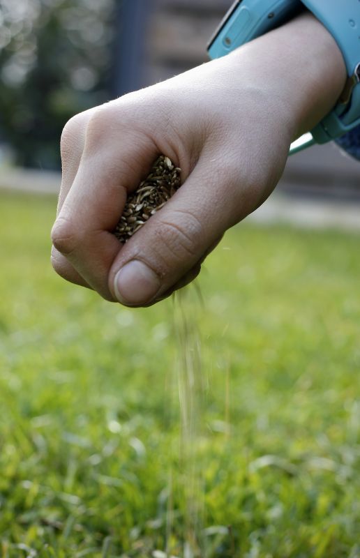 Grass Seed Installation in Honolulu, HI