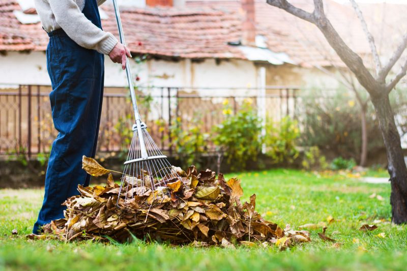 Landscaping Cleanup Service in Ventura County, CA