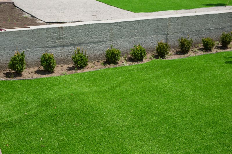 Lawn Enrichment in Ventura County, CA