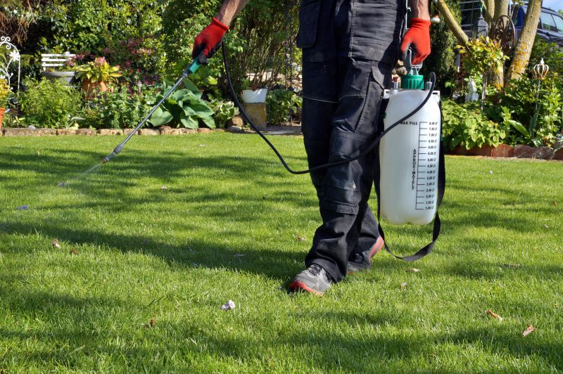 Lawn Fungus Treatment in Honolulu, HI