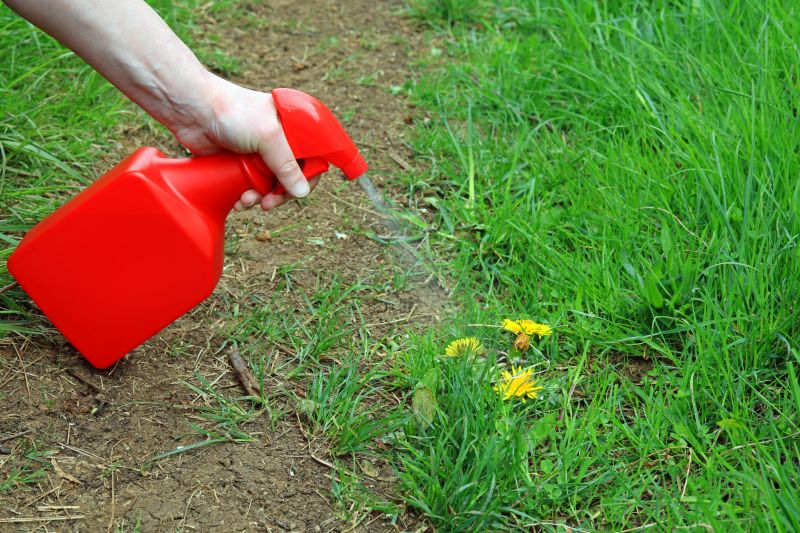 Lawn Weed Spraying in Rockwall, TX