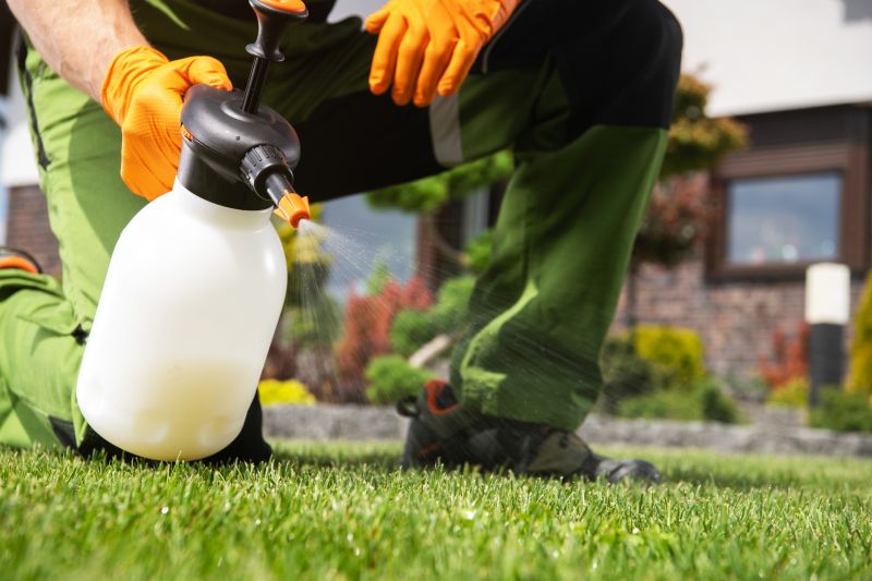 Lawn Weed Spraying in Honolulu, HI