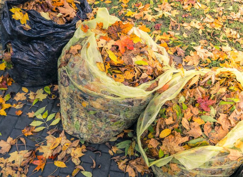 Leaf Cleanup Service in Honolulu, HI