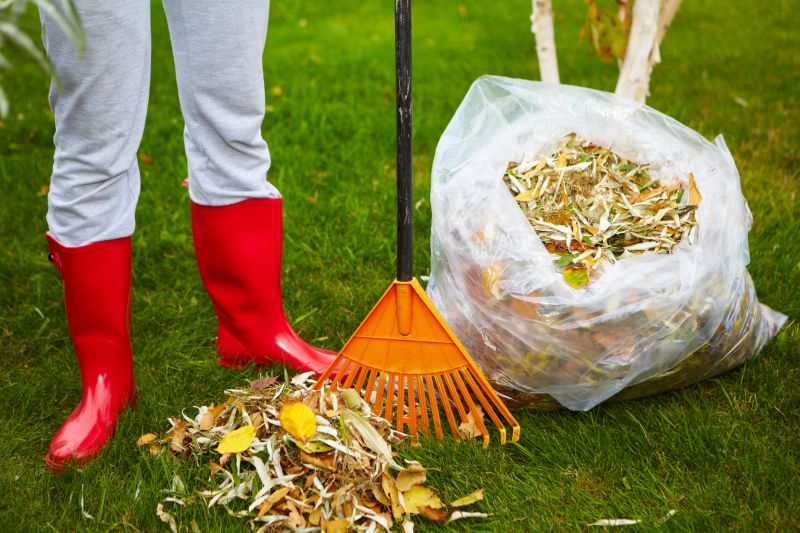 Leaf Cleanup Service in Honolulu, HI