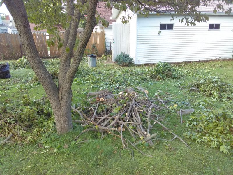 Leaf Cleanup Service in Ventura County, CA