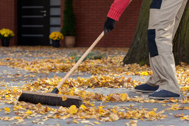 Leaf Cleanup Service in Ventura County, CA