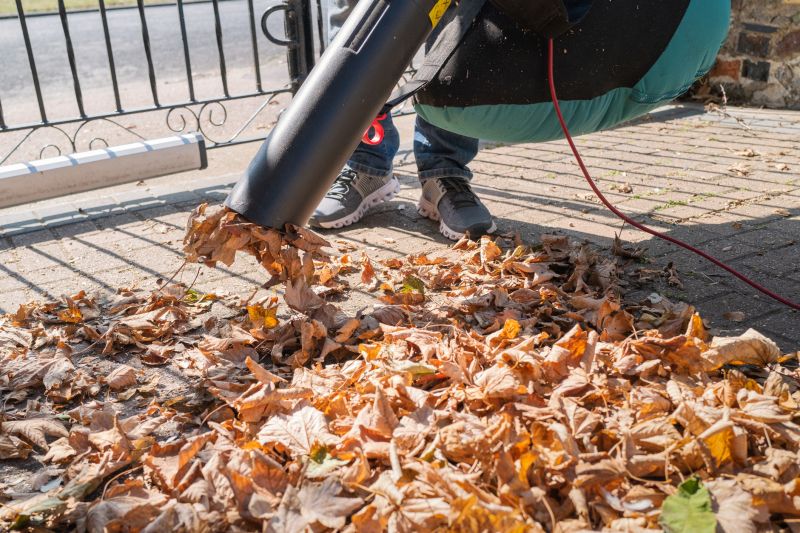 Leaf Removal in Honolulu, HI