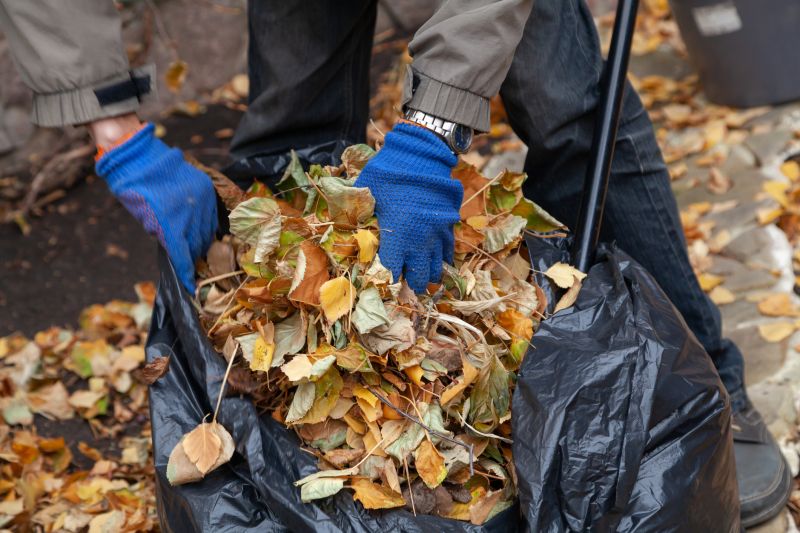 Leaf Removal in Ventura County, CA
