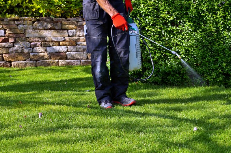 Weed Control Service in Aiken, SC