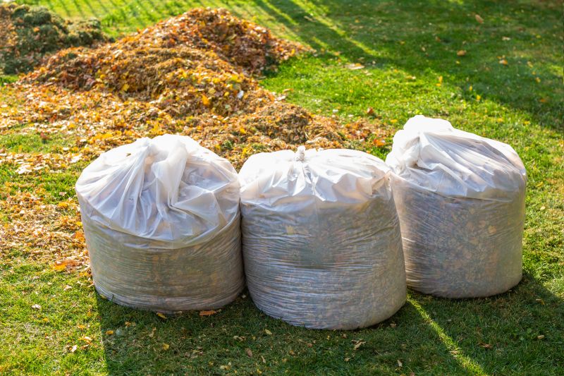 Yard Cleanup Service in Honolulu, HI