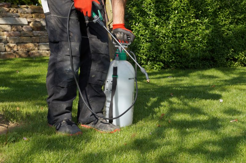 Lawn Weed Spraying in Rockwall, TX